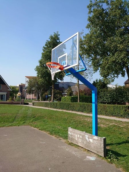 Basketbalpalen PROFI-outdoor