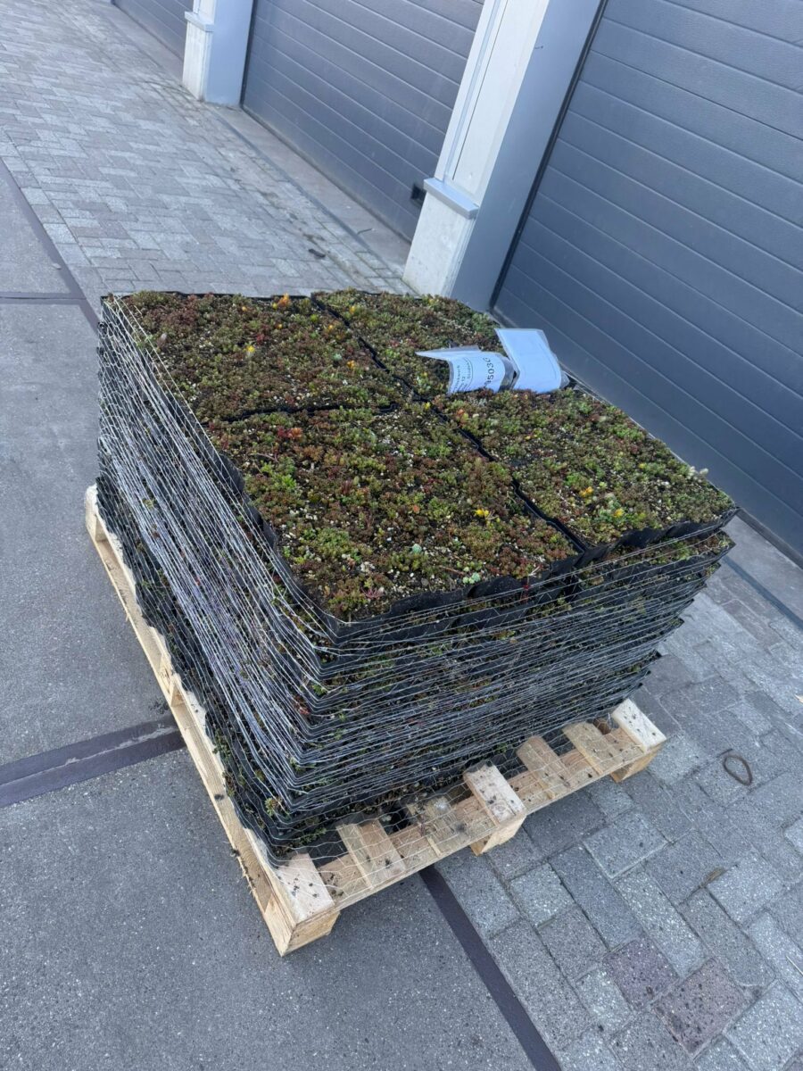 Welke wand kies je voor een fietsenstalling? Hout, glas, staal of polycarbonaat 11 Sedum matten voor groene daken voor onze overkappingen