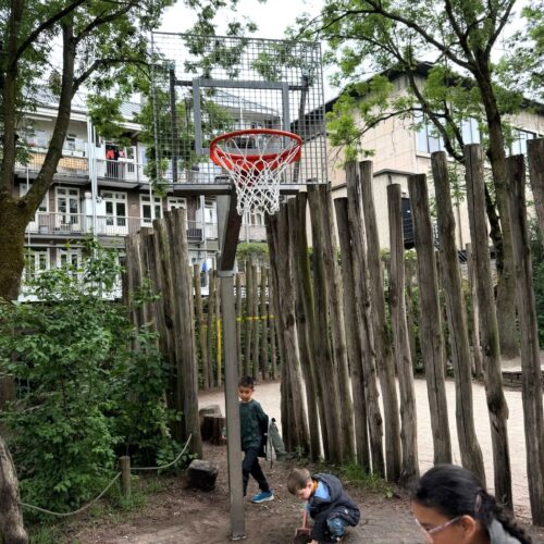 Verstelbare basketbalpaal Rothe+ 31 Verstelbare basketbalpaal met vandalismebestendig basketbalbord voor intensief gebruik.