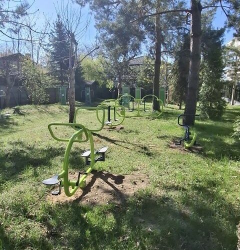 kinder fitnesstoestel Small Wheels 11 Buitenfitnesstoestellen voor kinderen in een park