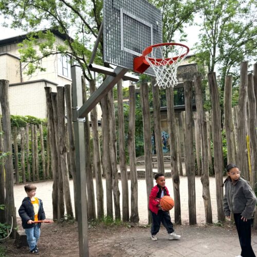 Verstelbare basketbalpaal Rothe+ 57 Antivandaal basketbalbord gemonteerd aan een verstelbare basketbalpaal voor schoolpleinen.