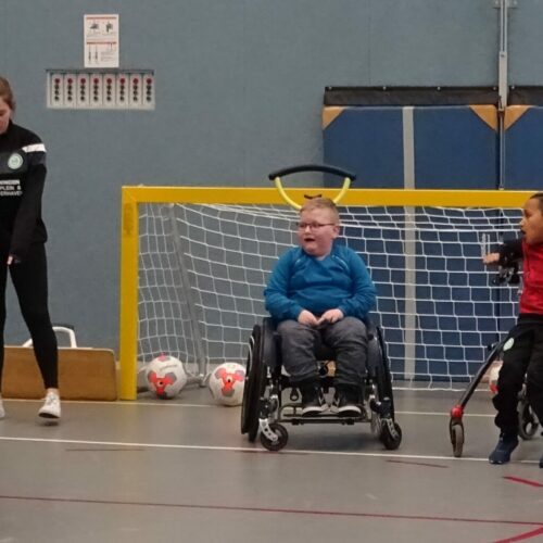Voetbaldoeltjes JVD240 (inklapbaar) 40 Onze mini pupillen voetbaldoelen, ook zeer geschikt voor binnengebruik.