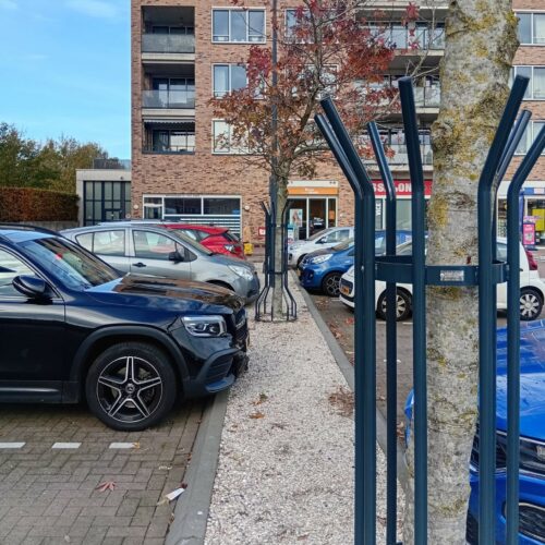 Boomkorf, model Miranda 11 Bescherm uw bomen duurzaam en betaalbaar met de Boomkorf Miranda. Verkrijgbaar in diverse RAL-kleuren, verzinkt en gepoedercoat voor een lange levensduur. Deze staan in de gemeente Heemskerk
