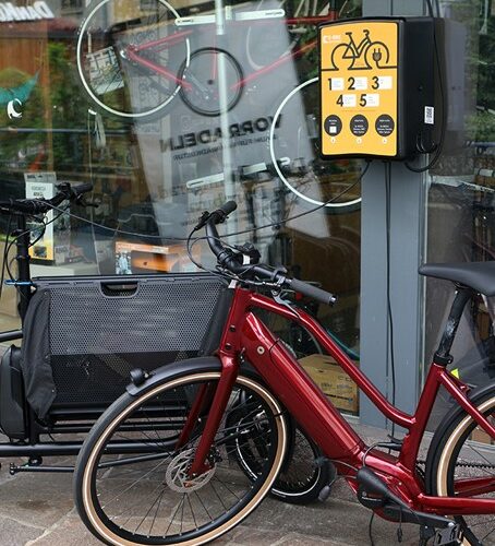 Fietslader Lion 8 Fietslader Lion - Afbeelding 4