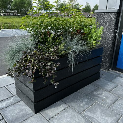 Plantenbak Agora 12 De stijlvolle en duurzame plantenbakken van gerecycled kunststof, model Agora, zijn leverbaar in verschillende kleuren en afmetingen, waardoor ze eenvoudig te integreren zijn in elk landschapsontwerp of stedelijk inrichtingsplan.