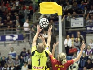 Korfbalpalen met een lengte van 2.5 meter. Insteekmodel.