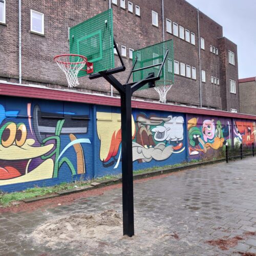 Basketbalpaal model Duo 25 Basketbalpalen met dubbel bord, bijzonder leuk op uw schoolplein. Spelplezier voor jong en oud.
