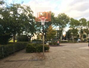 Basketbalpaal Rothe Fixed, vandalisme- en geluidsarm.