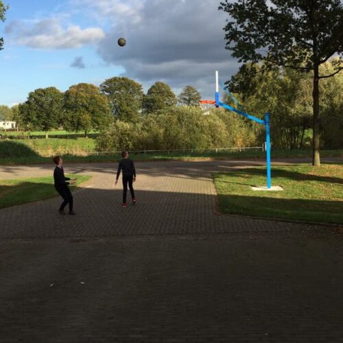 Basketbalbord Profi compleet 14 Zowel voor de binnen als buitenruimte geschikte basketbalborden.
