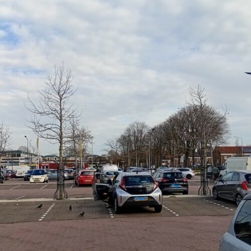 Boomkorf, model Miranda 12 De Boomkorf Miranda combineert kwaliteit met een scherpe prijs. Sterke buisprofielen en poedercoating zorgen voor maximale bescherming en uitstraling