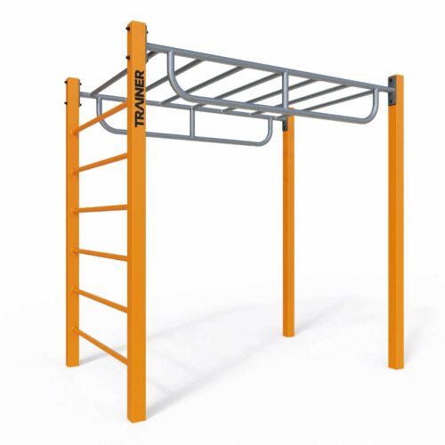 Calisthenicstoestel SWN01 5 Het Calisthenics Park SWN01 voldoet aan de Europese norm EN 16630:2015 en biedt veilige en veelzijdige full-body trainingen.