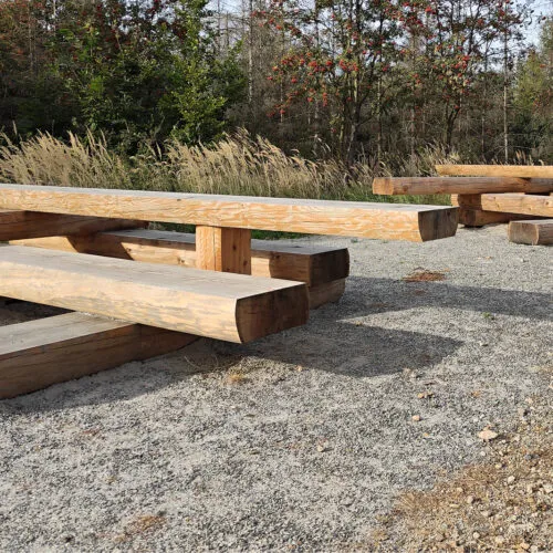 Twee hele grote picknicksets met een organische vormgeving, geïntegreerde fietsstal-plek en ligbed in openbare ruimte.