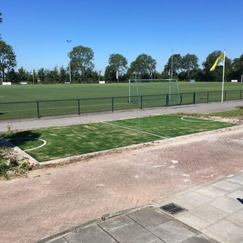 Dubbelstaafmat hekwerk 37 DSM hekwerk met bovenbuis. Ral 6009. En ook het kunstgrasveld op de voorgrond is door ons aangelegd.