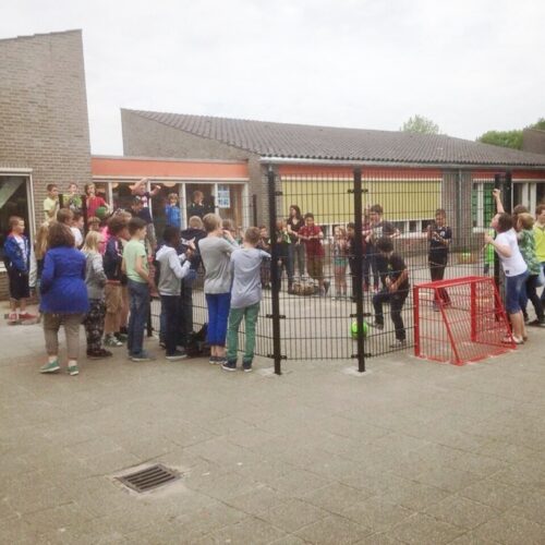 Pannaveld PS50 34 Een pannakooi of pannaveld uit deze serie is vaak voldoende voor sportief plezier op een basisschool.