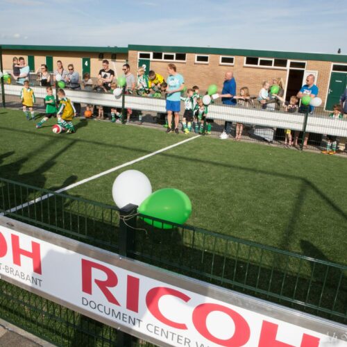 Pannakooi PS100 Basic 76 Op deze afbeelding ziet u pannaveld met kunstgras speelvloer Multiplay en onze reclame-profielen uit de buitenzijde.