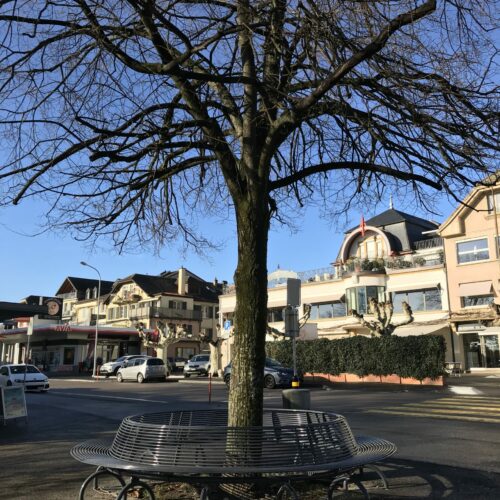 Parkbank Rest gebogen 59 Parkbanken REST Curved geschakeld als ronde boombank. Ook dat behoort tot de mogelijkheden. Leverbaar in diverse fraaie ral kleruen.