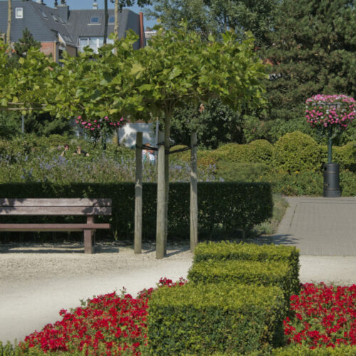Kunststof parkbank Bonn Govaplast 53 Geniet van comfort en rust met de Bonn kunststof parkbank. Duurzaam, stijlvol en onderhoudsvrij voor elk buitenterrein.