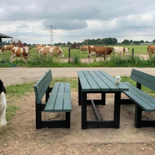Kunststof Picknicktafel London 43 Twee van onze picknicktafels model Londen en banken met rugleuning, kleur zwart