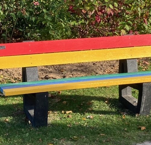 Breng kleur in uw buitenruimte met de Regenboog-parkbank: Een blikvanger met comfort. Een plek voor iedereen.