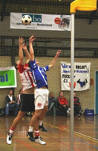 Verplaatsbare Korfbalpaal 2m.