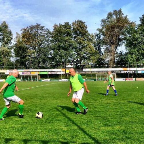 Mini pupillendoeltjes JVD195 – volledig gelast aluminium 45 Voetbaldoeltjes kopen? Onze JVD195 voetbaldoelen. Voor uw mini pupillen en senioren (Walking Football) de ideale oplossing. Afgebeeld een promotie wedstrijd bij vv Winsum