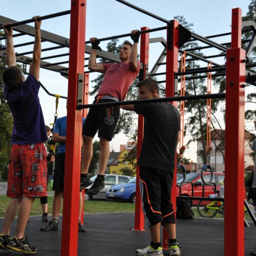 Calisthenics toestel Nippur S 107 Calisthenics toestel voor buiten met pull-up bars en monkey bars in een openbaar beweegpark