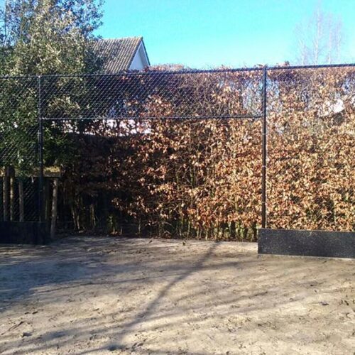 Alternative view of Hockeycourt