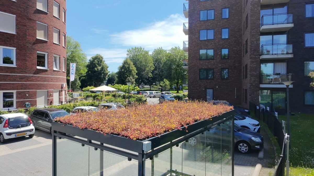Rookoverkapping met sedumdak geplaatst bij ZINN De Burcht in Hoogezand 1 Dronebeeld van een rookoverkapping met groen sedumdak bij zorginstelling ZINN De Burcht in Hoogezand.